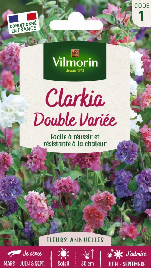 Graines de Clarkia double variée Vilmorin - graines à semer