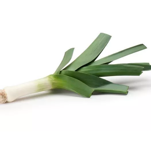 Graines bio de Poireau Gros vert de Huy
