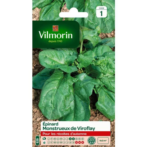 Graines d'épinard monstrueux de Viroflay Vilmorin - graines à semer