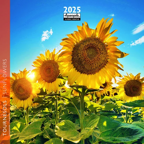 Calendrier 2025 tournesol coloris multicolore Aquarupella - 16,5 x 16,5 cm