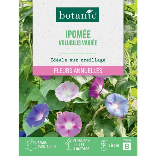 Graines de fleurs d'Ipomée volubilis variée botanic®