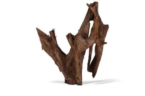 Racine pour aquarium coloris marron Aquavie Mangrove - Taille mm-gm 40 à 60 cm