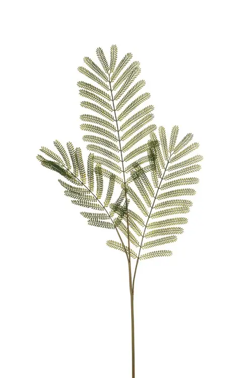 Branche de feuille de mimosa artificielle 3 rameaux - 35 x 35 x 90 cm