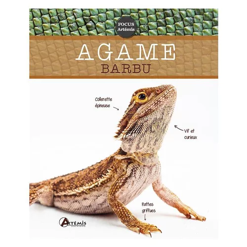 Agame Barbu. Editions Artemis