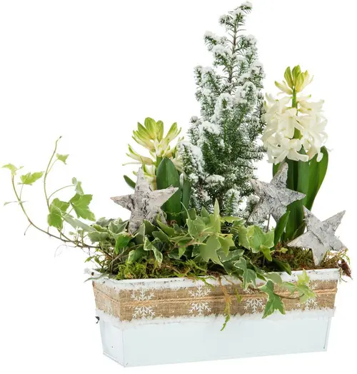 Composition jardinette pot zinc blanc décor ruban rustique - 22 cm
