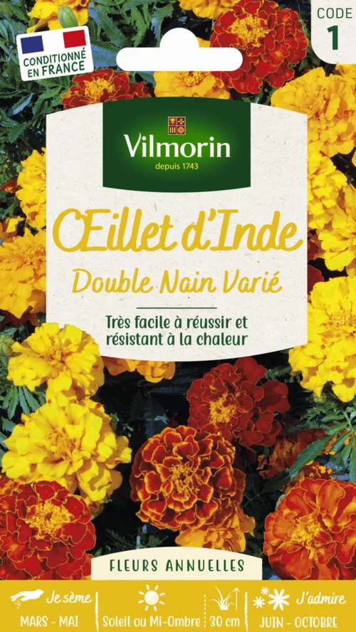 Œillet d'Inde Double nain varié Vilmorin - graines à semer