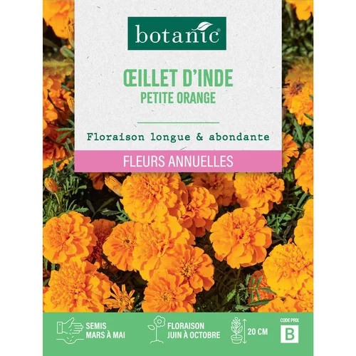 Graines de fleurs d'Œillet d'inde petite orange botanic®