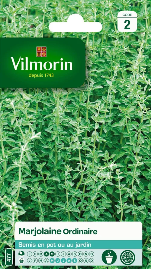 Marjolaine ordinaire Vilmorin - graines à semer