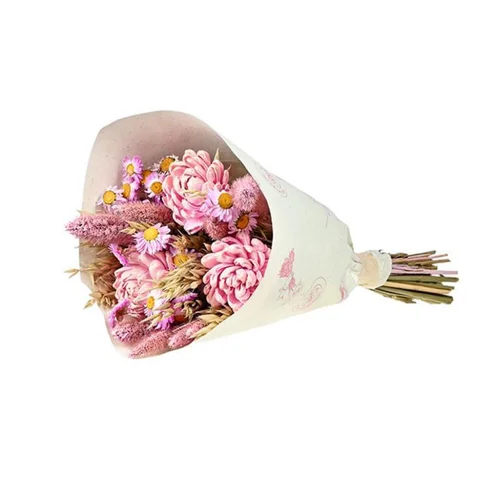 Bouquet de fleurs séchées Sola M coloris rose - H 50 cm