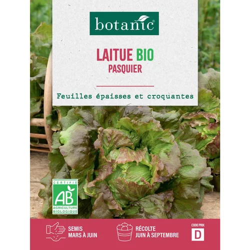 Graines de laitue pasquier bio botanic® - graines pasquier semer