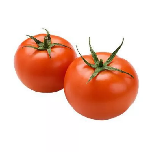 Tomate Moneymaker | Semences bio et reproductibles