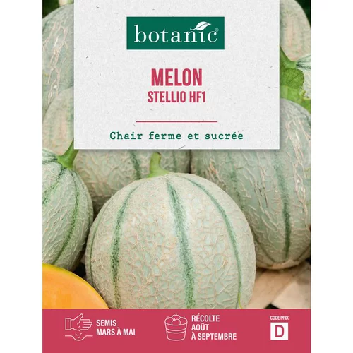 Graines de melon stellio HF1 botanic® - graines à semer