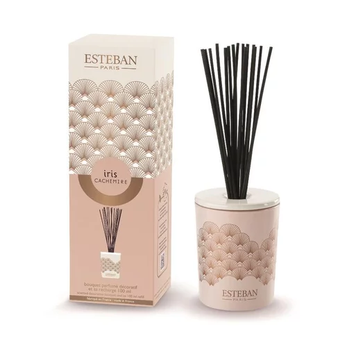 Bouquet parfumé déco et sa recharge Iris cachemire Esteban - 100 ml