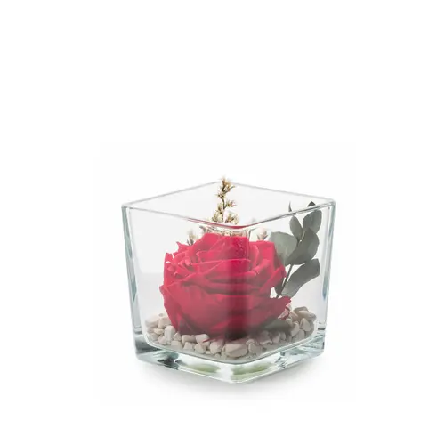 Verrine carrée de végétaux stabilisés rose rouge et eucalyptus Naturalys Genova 10 - 10 x 10 x 10 cm