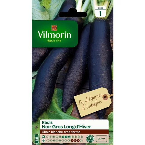 Graines de radis noir gros long d'hiver Vilmorin - graines à semer