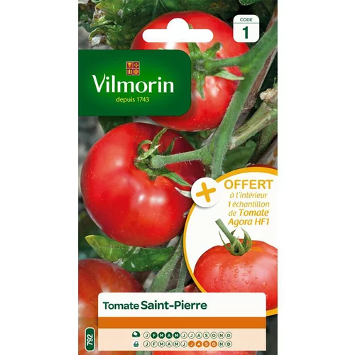 Graines de tomate Saint Pierre Vilmorin - graines à semer