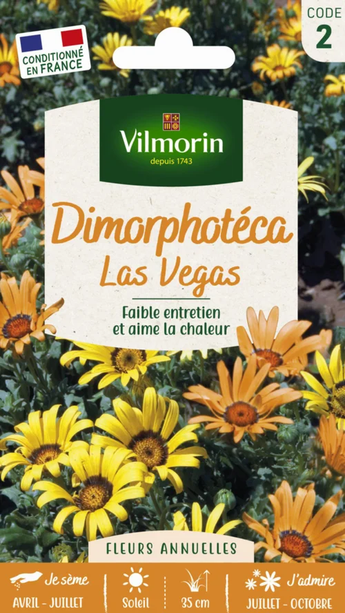 Graines de Dimorphotéca Las Vegas Vilmorin - graines à semer