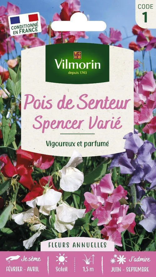 Graines de Pois de senteur Spencer varié Vilmorin - graines à semer