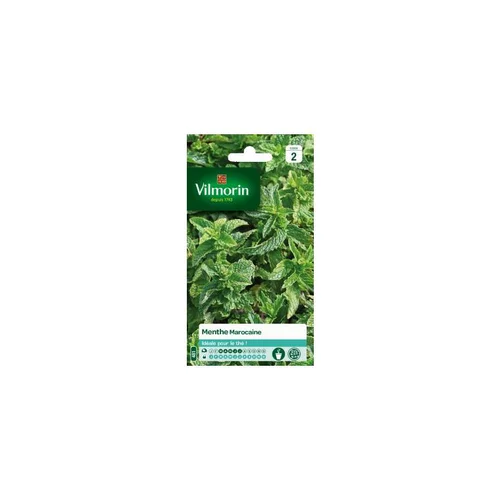 Graines de Menthe marocaine Vilmorin - graines à semer