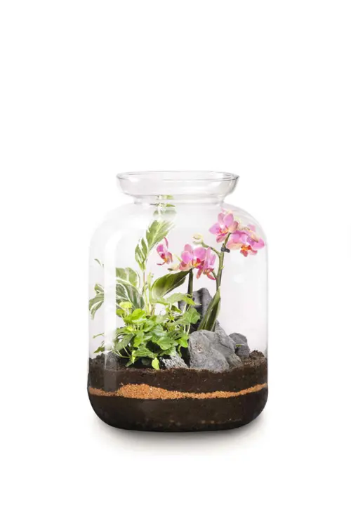 Terrarium Bonbonne S Elégant botanic® - Ø 25 x 31 cm