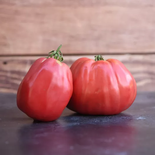 Tomate Grosse des Marais | Semences bio et reproductibles