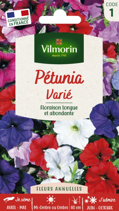 Pétunia varié Vilmorin - graines à semer