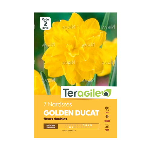 BULBES DE NARCISSES 'GOLDEN DUCAT' FLEURS DOUBLES - TERAGILE® - X7