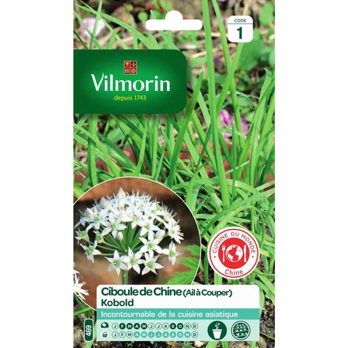 Graines de ciboule de Chine Kobold Vilmorin - graines à semer