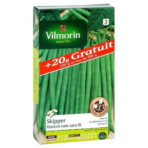 Haricot nain sans fil Skipper Vilmorin - graines à semer