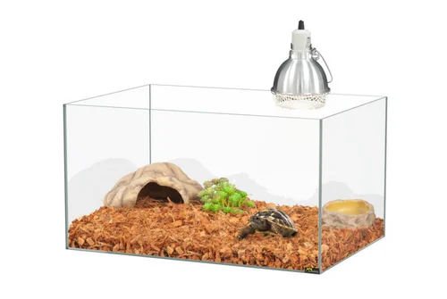 Kit pour bébé tortue terrestre coloris transparent Terratlantis - 65 x 45 x 35 cm
