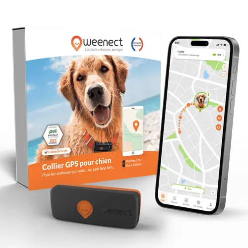 Collier GPS pour chien coloris noir Weenect