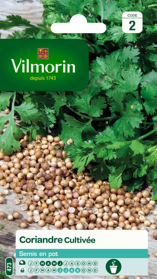 Coriandre Cultivée Vilmorin - graines à semer