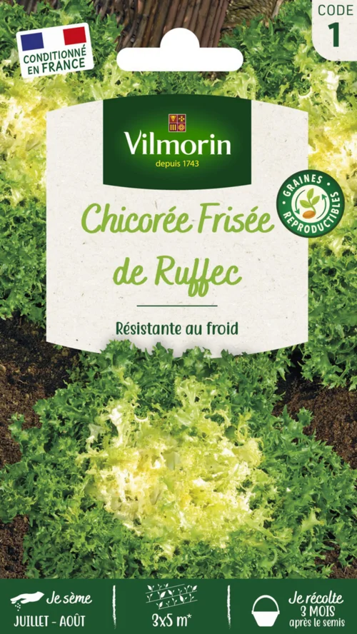 Chicorée de Ruffec Vilmorin - graines à semer