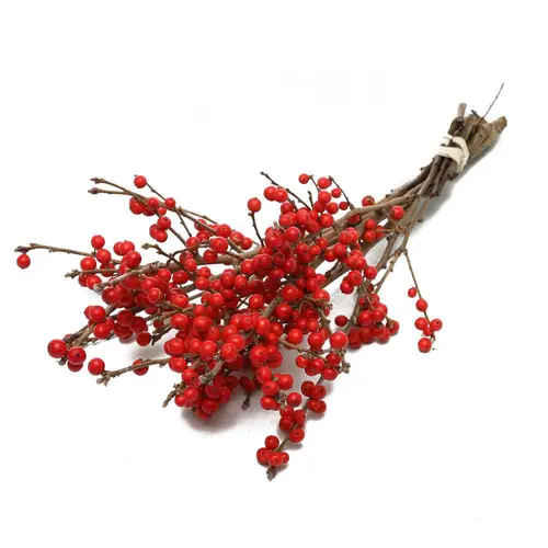 Botte de houx d’ilex Verticilta coloris rouge – 5 tiges