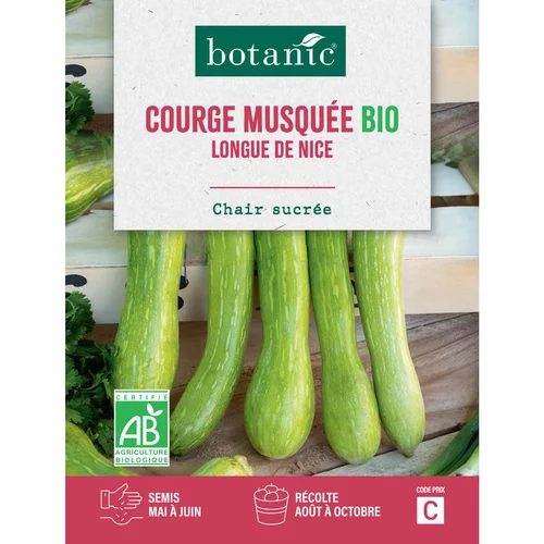 Graines de courge longue de Nice bio botanic® - graines à semer