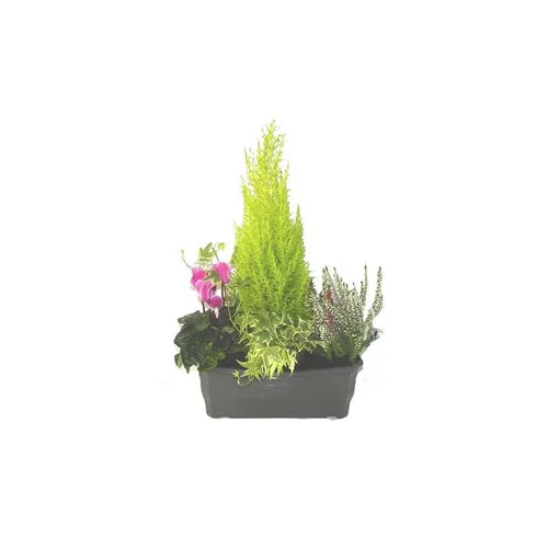 Jardinière pour columbarium - La jardinière de 30 cm