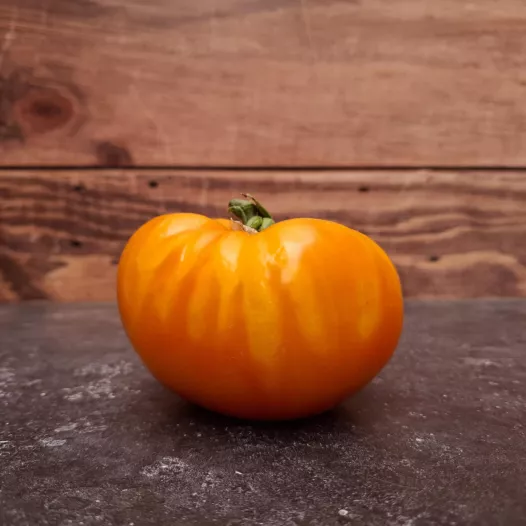 Tomate Pamplemousse du Grand-Père | Semences bio et reproductibles