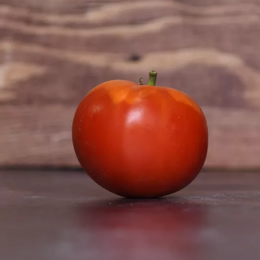 Tomate Merveille des marchés | Graines bio et reproductibles