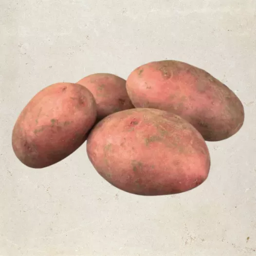 Plants bio : Pomme de terre Chérie - 1kg