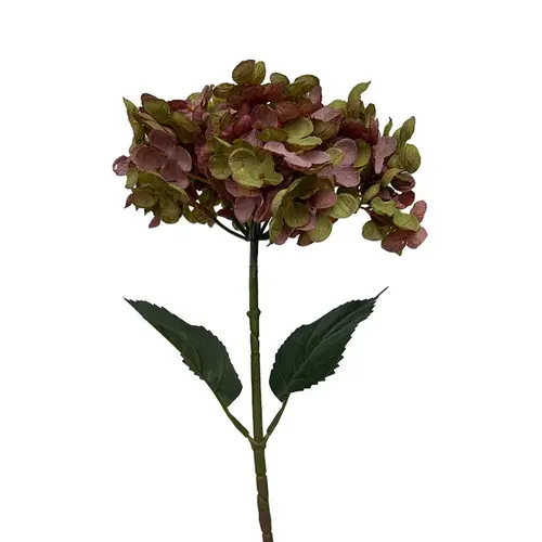 Tige d’hortensia rose et vert en papier aspect fleur séchée Naturalys - 65 cm