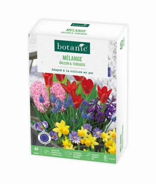 Mélange balcon et terrasse botanic® - 40 bulbes
