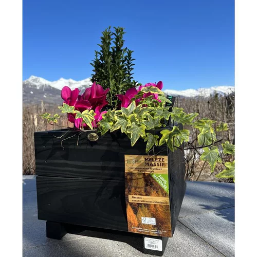 Contenant carré coloris noir en bois certifié FSC® - 36 x 36 x 28,5 cm