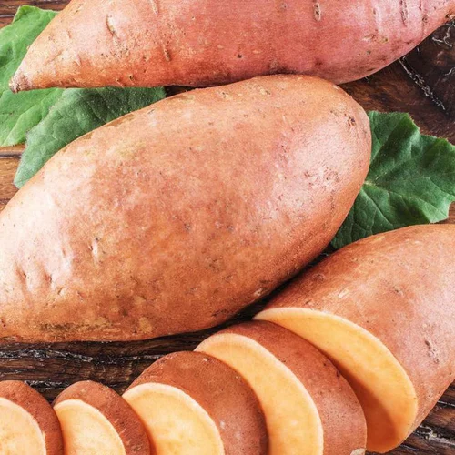 Patate Douce Bonita Bio. Le pot de 1 litre