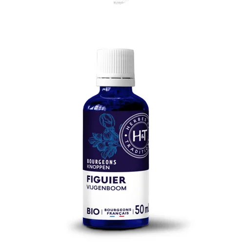 Complément alimentaire gemmo macérat figuier bio Herbes et Traditions - 50 ml