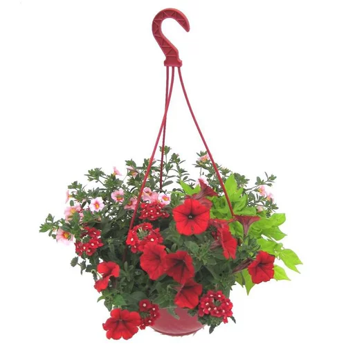 Suspension anglaise - La suspension diam 27 cm
