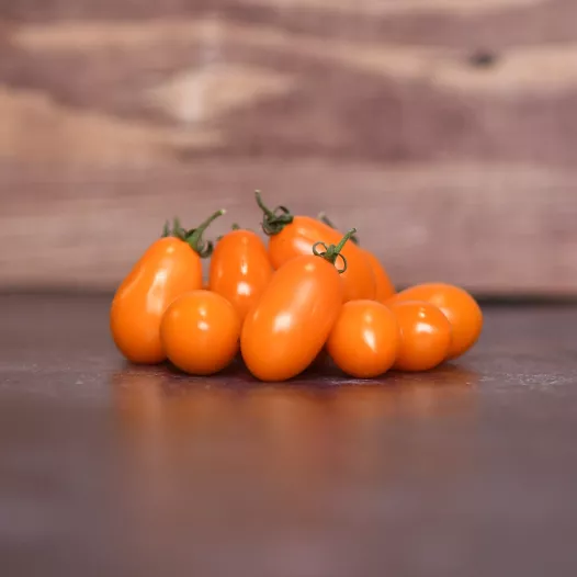 Graines bio de Tomate Orangette