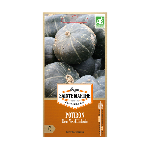 GRAINES POTIRON DOUX VERT HOKKAIDO BIO
