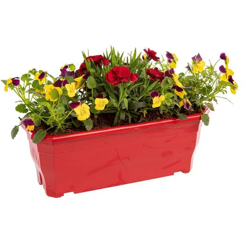 Jardinière printanière de Viola et Œillet à fleurs multicolores - La jardinière de 30 cm