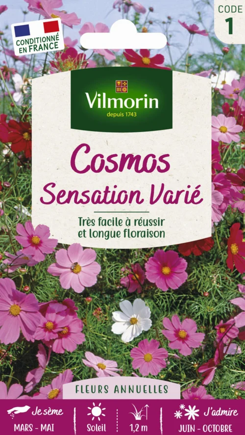 Cosmos Sensatoin Varié Vilmorin - graines à semer
