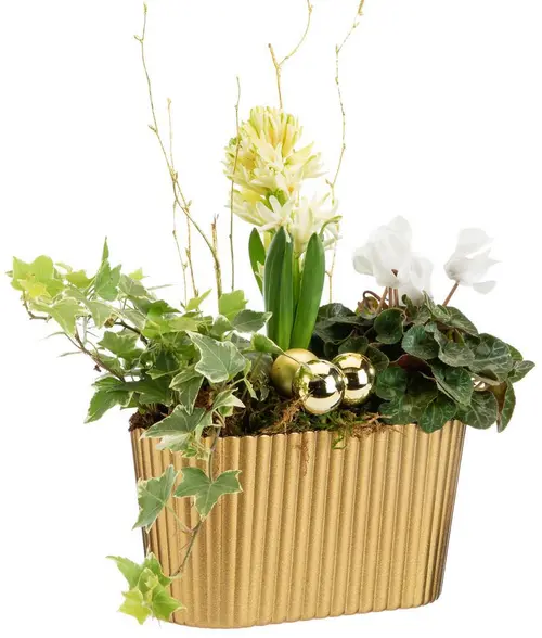 Composition de plantes pot doré festif Pagode or - 20 cm